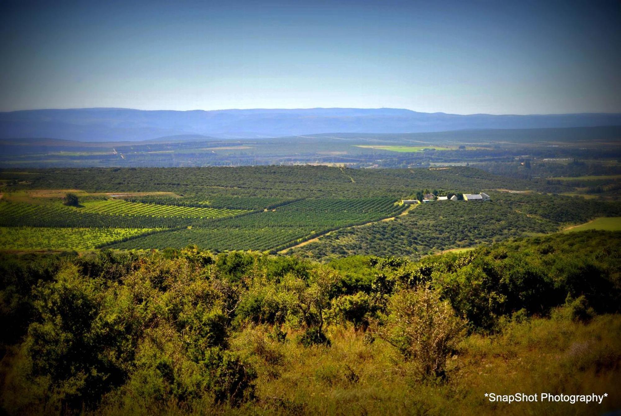 Kududu Guest House Addo Zewnętrze zdjęcie